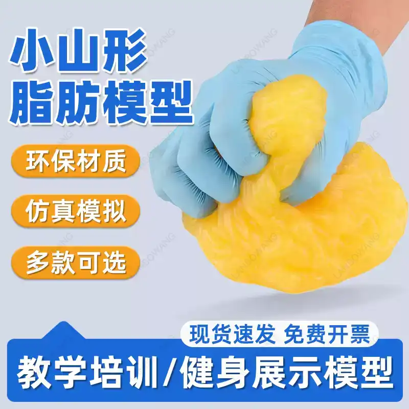Human Muscle and Fat Replicas, - Nutrition In Fitness 评论和价格