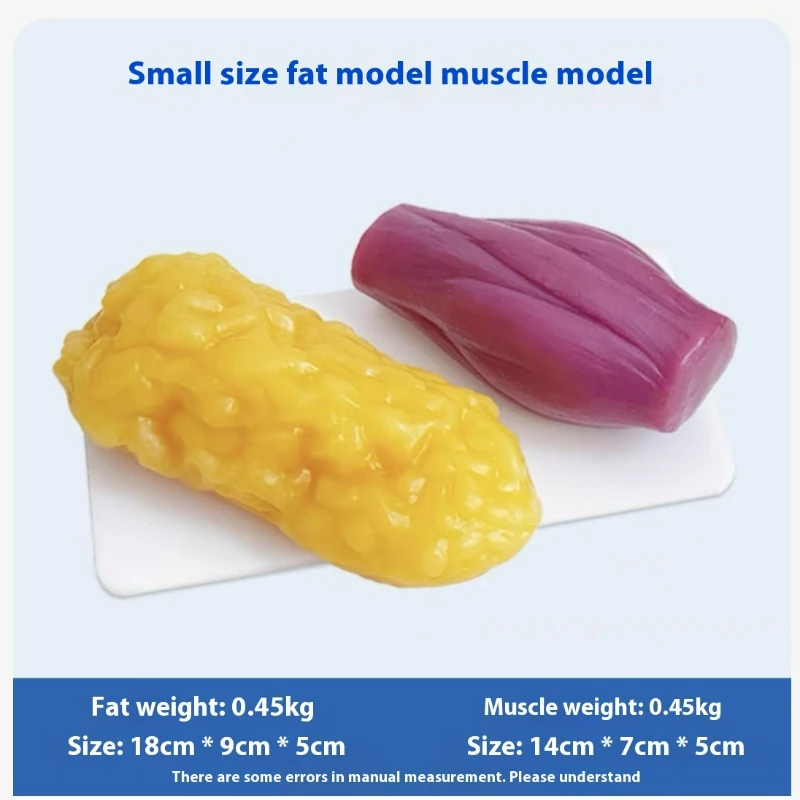 Human Muscle and Fat Replicas  - Nutrition In Fitness 评论和价格